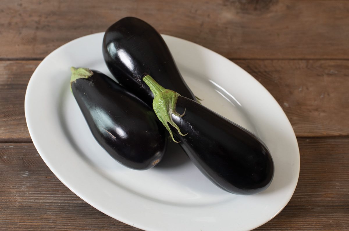 Gaudi – Organic Eggplant Seed