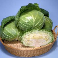 Sweet and Tender – Cabbage Seed