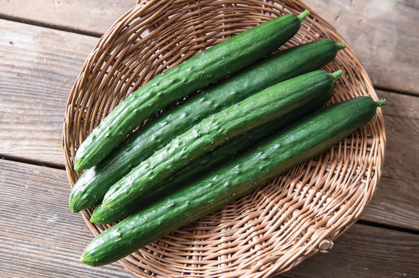 Sashimi – Cucumber Seed