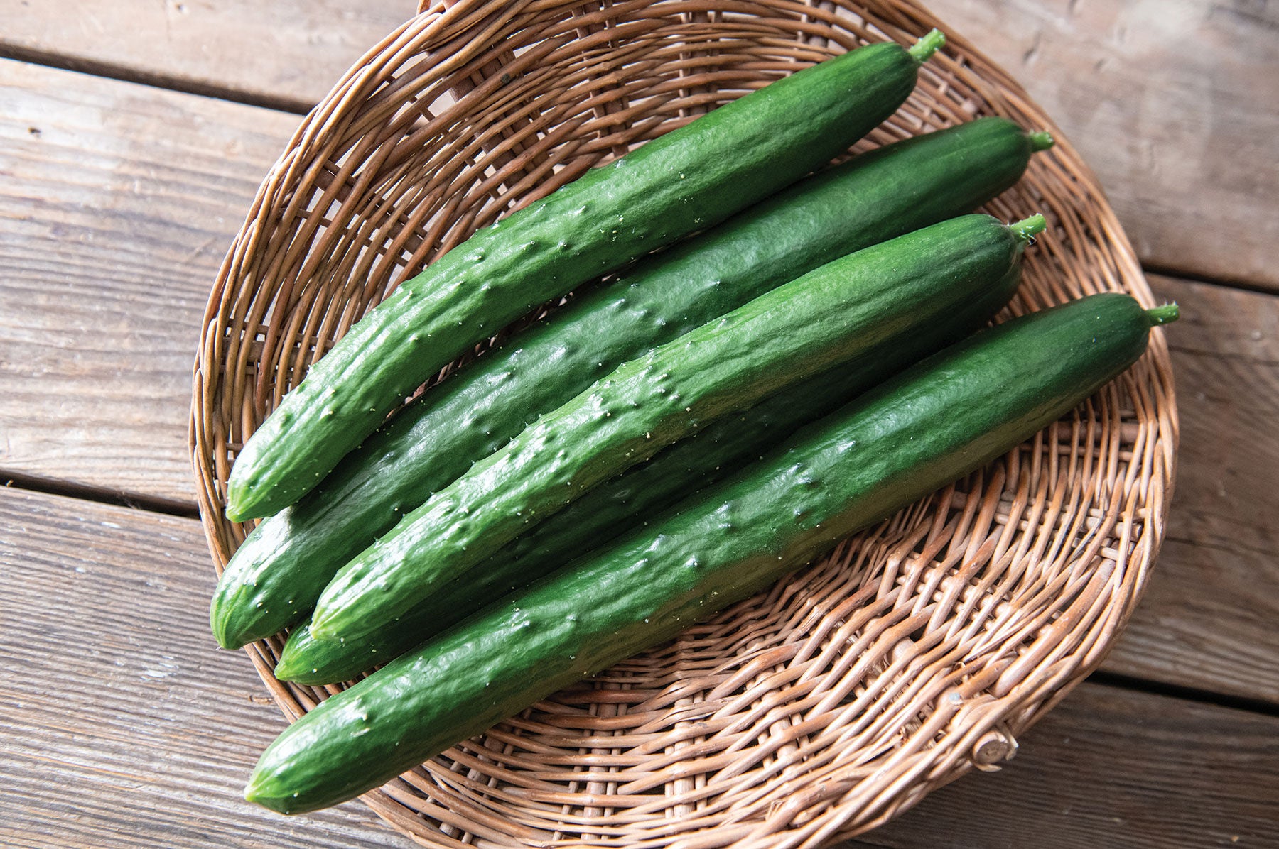 Sashimi – Cucumber Seed