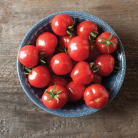 Mochi – Cherry Tomato Seeds