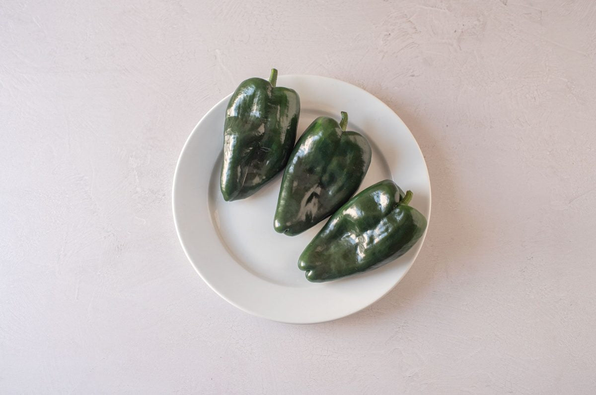 Sargento – Poblano Pepper Seed