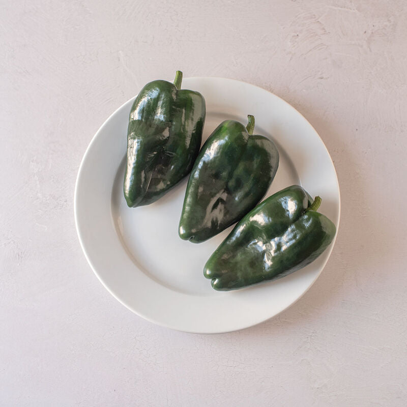 Sargento – Poblano Pepper Seed