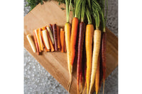 Glow Stix Sunrise Mix – Carrot Seed