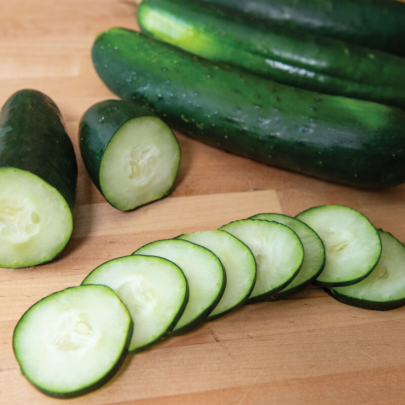 Gateway – Cucumber Seed