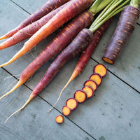 Purple Star – Purple Carrot Seeds