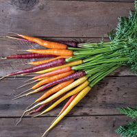 Glow Stix Sunrise Mix – Carrot Seed