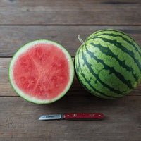 Onza – Seedless Watermelon Seed