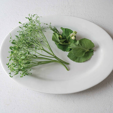 Parsley Pea – Pea Seed
