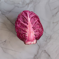 Luna Rossa – Radicchio Seed