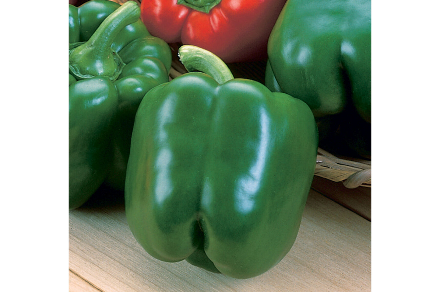 Green Machine – Bell Pepper Seed