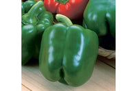Green Machine – Bell Pepper Seed