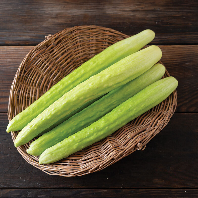 Margarita – Cucumber Seed