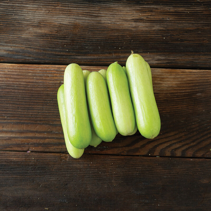 Gimlet – Cucumber Seed