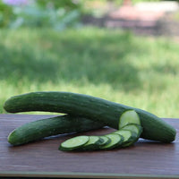 Cucumber Burpless Seeds