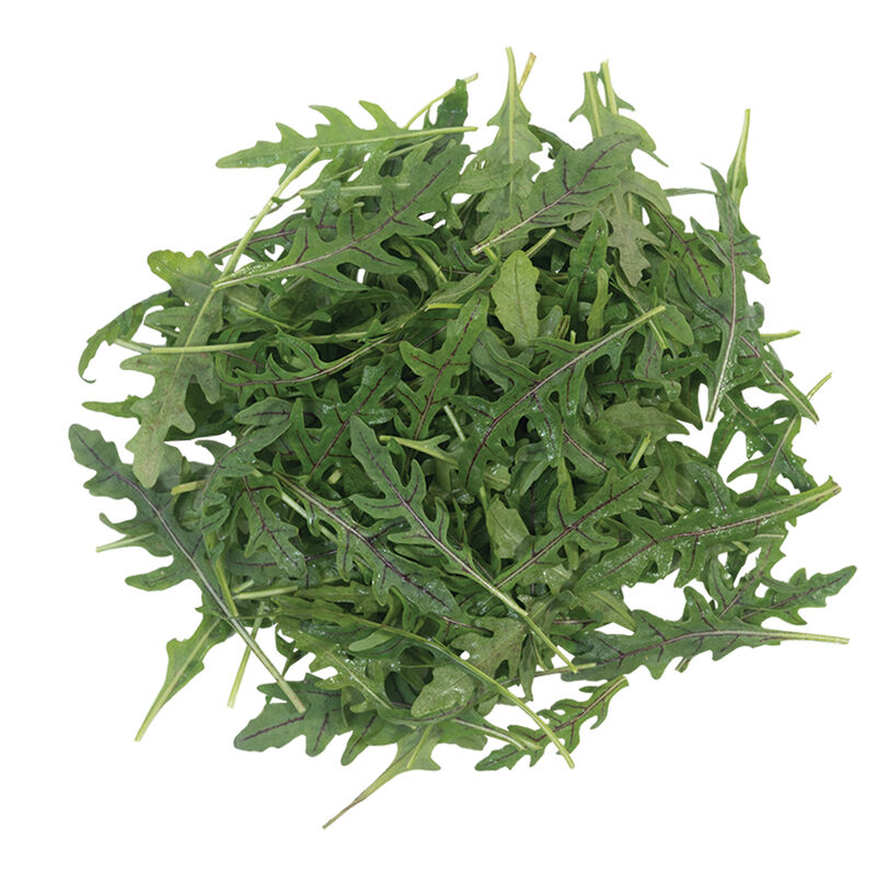Nemesis – Wild Arugula Seed