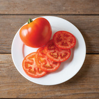 Caiman – Organic Tomato Seed