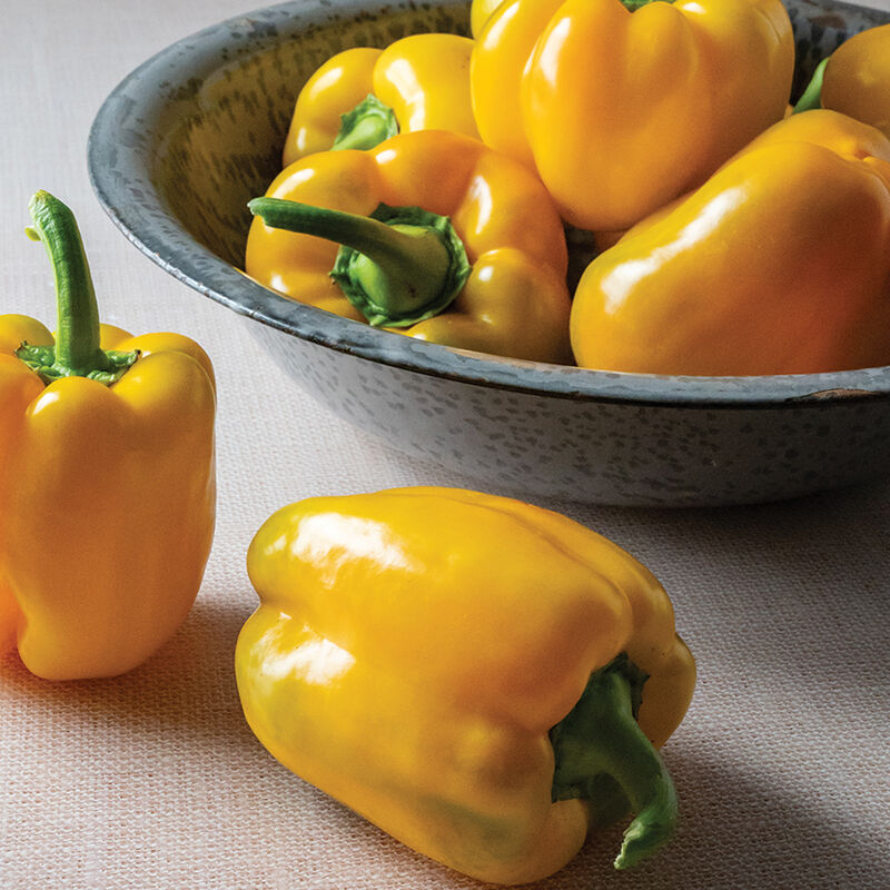 Sonoma – Bell Pepper Seed