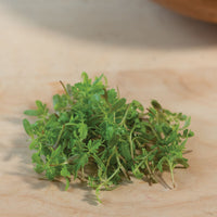Marigold, Gem – Microgreen Seed