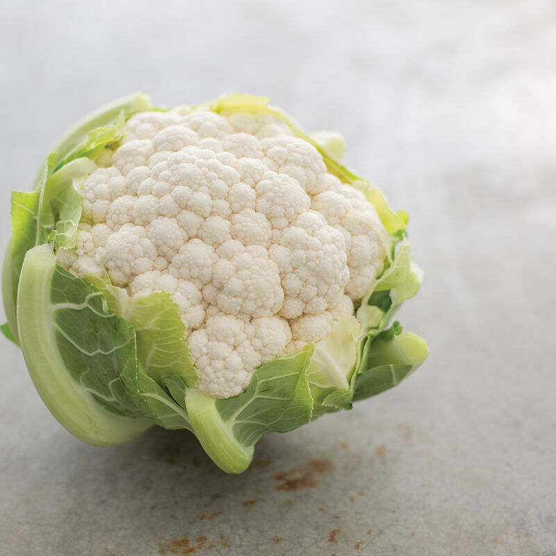 Sierra Madre – Cauliflower Seed