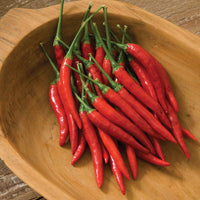 Bottle Rocket – Cayenne Pepper Seed