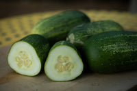Cool Customer – Organic Cucumber Seed