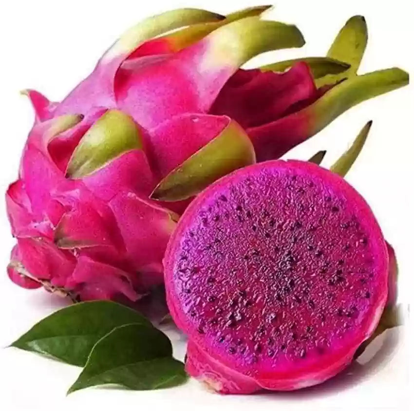 Pink Pitaya Hylocereus undatus seeds for planting in home garden