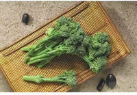 Sweet Bunch – Broccoli Seed