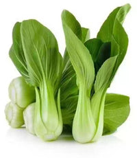 Green Pac – Bok Choy Seeds