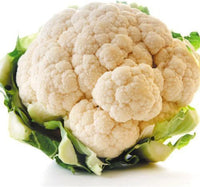 Paxton – Cauliflower Seed