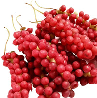 Schisandra Tree Seeds for Unique Fruit with Medicinal Benefits - Heirloom seeds