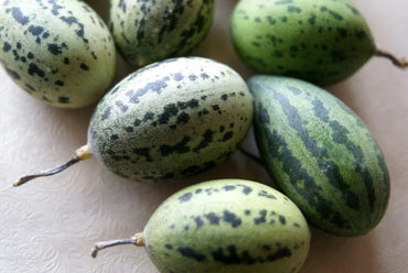 Foot Kachri Seeds