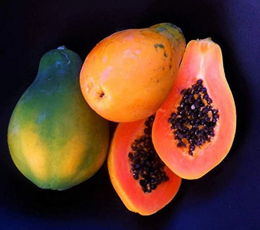 Sunrise Papaya (Strawberry Papaya) Fruit Seeds for Planting - Tropical Gardens & Sweet Fruits