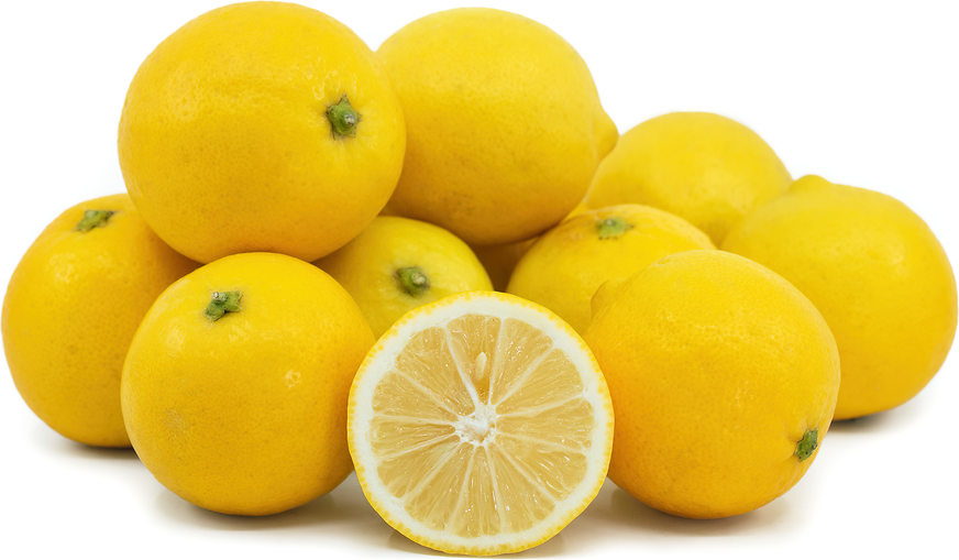 Sweet Persian Lemon Citrus limon seeds for planting in home garden