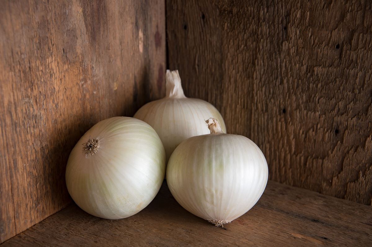 Sierra Blanca – Onion Seed