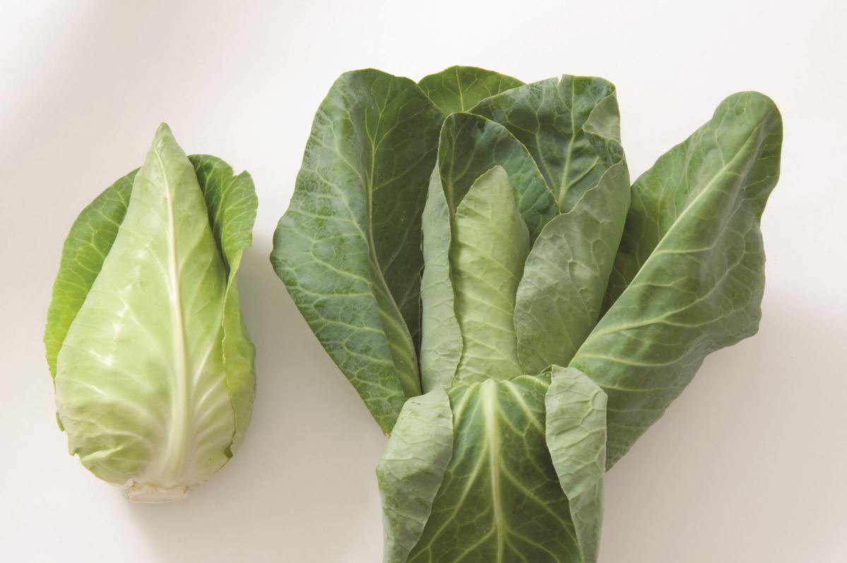 Caraflex – Cabbage Seed