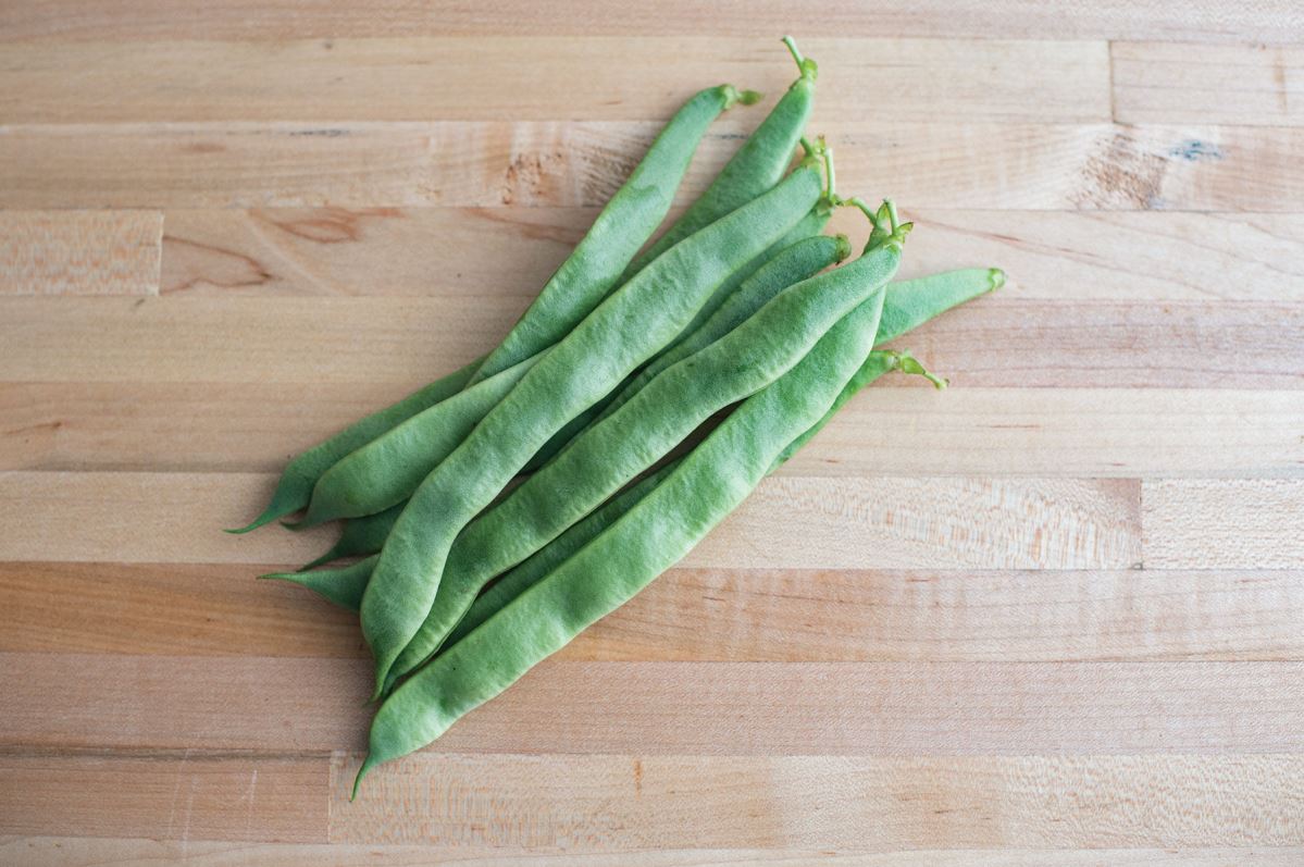 Jumbo – Organic Bean Seed