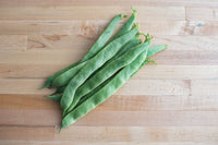 Jumbo – Organic Bean Seed