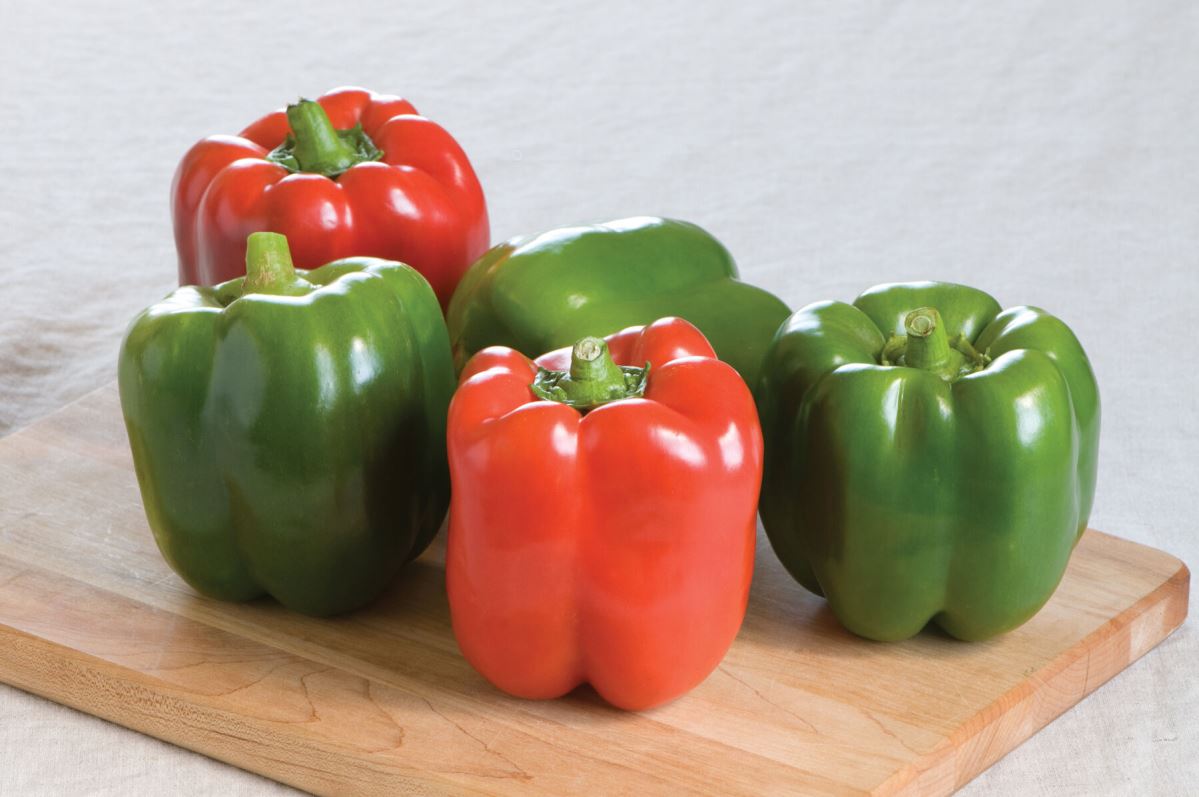 Olympus – Organic Bell Pepper Seed