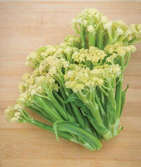 Fioretto 70 – Sprouting Cauliflower Seed