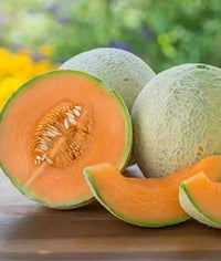 Sugar Cube – Melon Seed