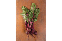 Early Wonder Tall Top – Beet Seed