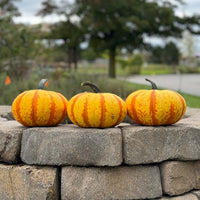 Blaze – Treated Pumpkin Seed