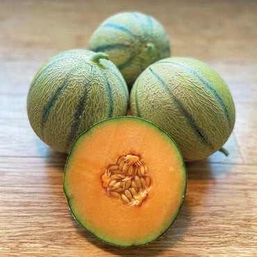 Melonade – Melon Seed