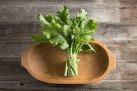 Spring Raab – Broccoli Seed