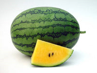 New Orchid – Watermelon Seed