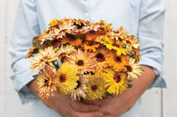 Flashback Mix – Organic Calendula Seed