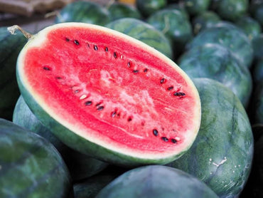 Watermelon- Cekirdegi Oyali