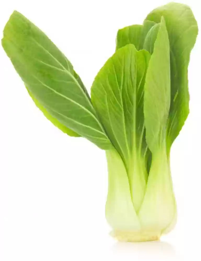 Joi Choi – Bok Choy Seeds