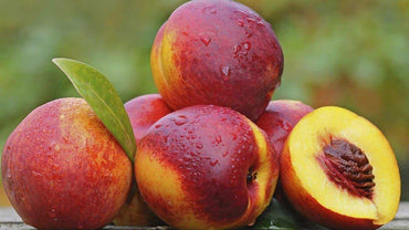 Red Nectarine Fruit Seeds - Grow Juicy and Sweet Nectarines at Home 100 pcs